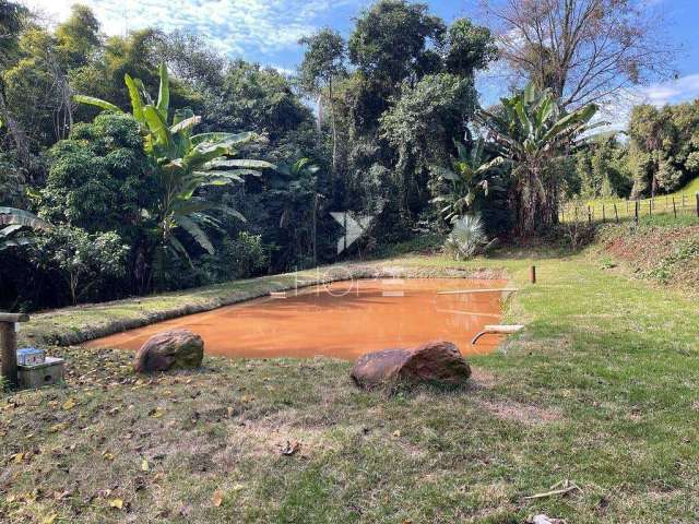 Haras à venda, Vila Ipiranga, Londrina, PR