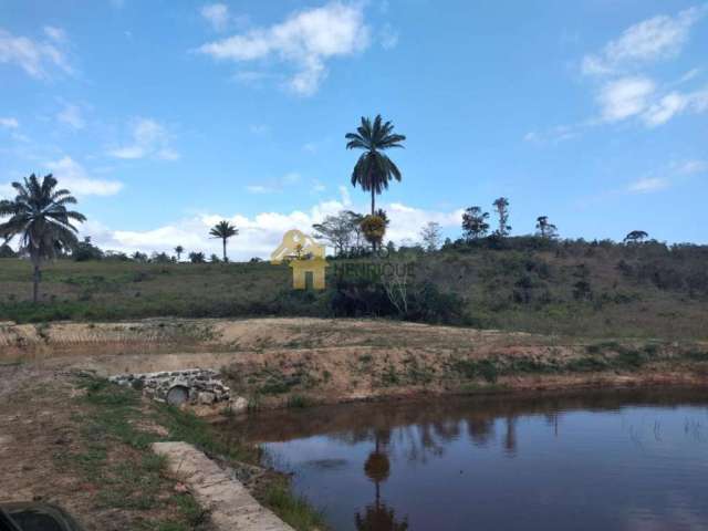 Fazenda para Venda em Mata de São João, Mata de São João, 10 dormitórios, 10 banheiros, 10 vagas