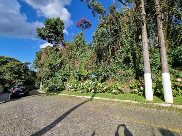 Terreno em condomínio fechado à venda na Rua Carlos Guinle, Carlos Guinle, Teresópolis, 650 m2 por R$ 390.000