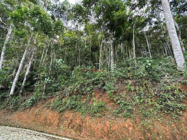 Terreno em condomínio fechado à venda na Estrada Adelmar Tavares, Parque do Imbui, Teresópolis, 1700 m2 por R$ 260.000