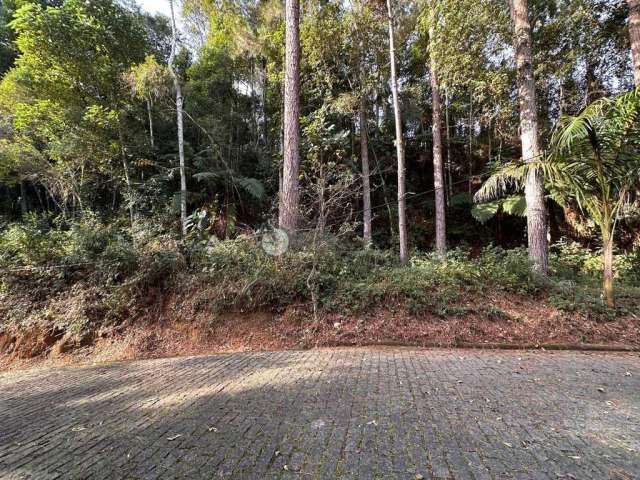 Terreno em condomínio fechado à venda na Estrada Parque do Imbui, Parque do Imbui, Teresópolis, 1368 m2 por R$ 350.000