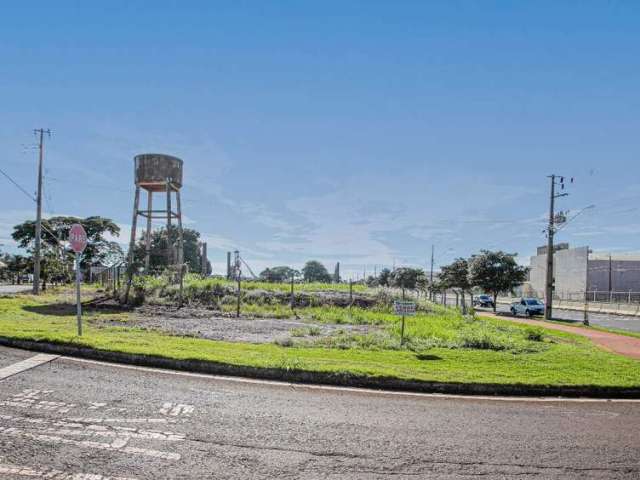 Terreno comercial para locação - Novo Centro