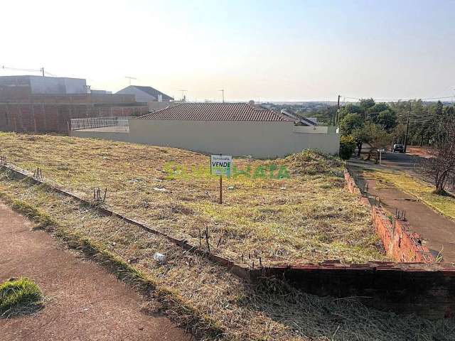 Venda de Lote Residencial de Esquina- Oportunidade Única!
Endereço: Rua Pioneiro Nereu Mazzer, 1237, Jardim Tóquio, Lote 11, Quadra 201