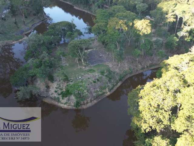 Ilha em Lagoa das Lontras  -  Miguel Pereira