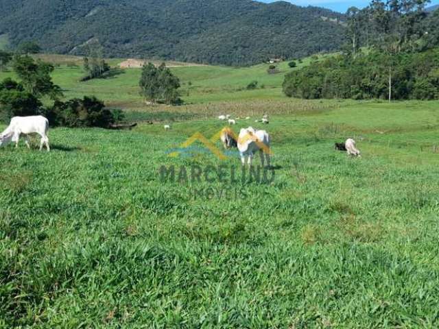 Sítio à venda no bairro Aratingauba - Imaruí/SC