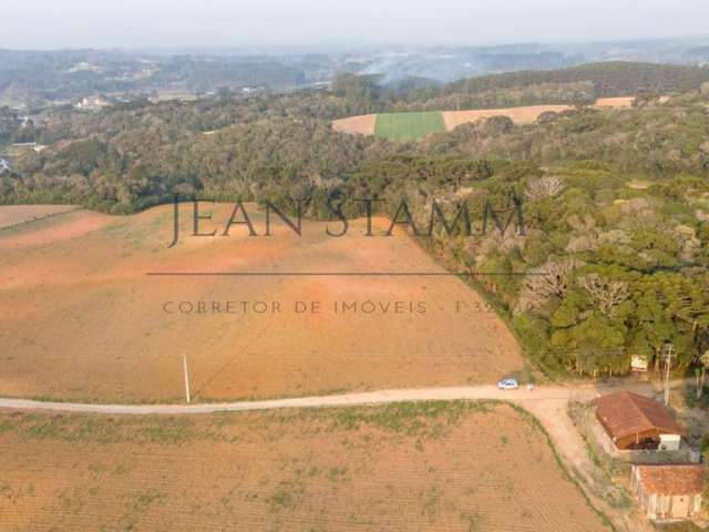 Terreno para Venda em São José dos Pinhais, Colônia Mergulhão