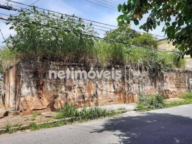 Venda Lote-Área-Terreno Concórdia Belo Horizonte