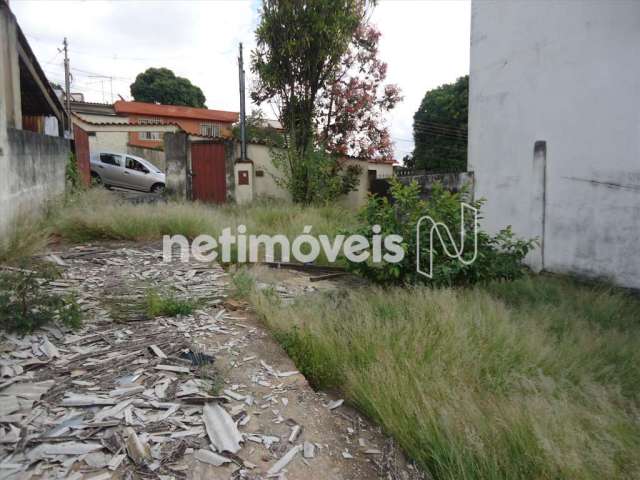 Venda Lote-Área-Terreno Cachoeirinha Belo Horizonte