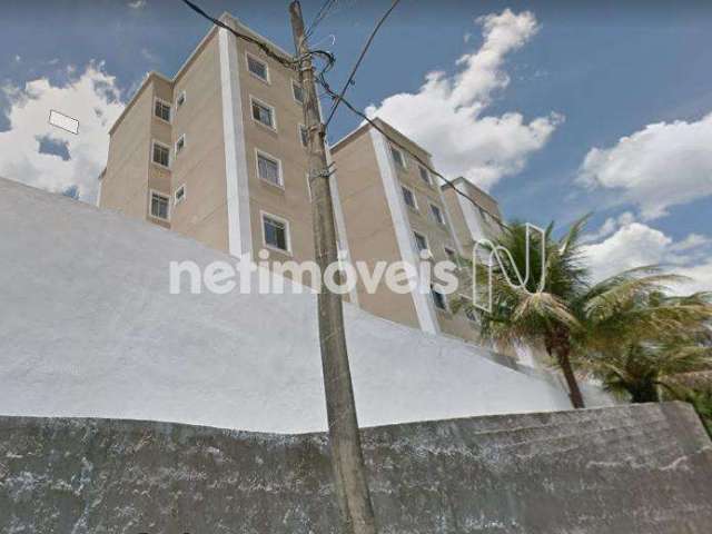 Venda Apartamento 2 quartos Jaqueline Belo Horizonte