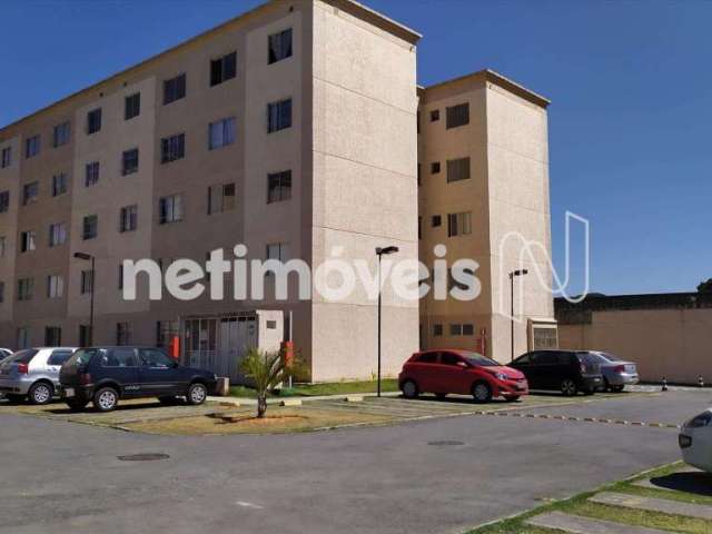 Venda Apartamento 2 quartos São Gabriel Belo Horizonte