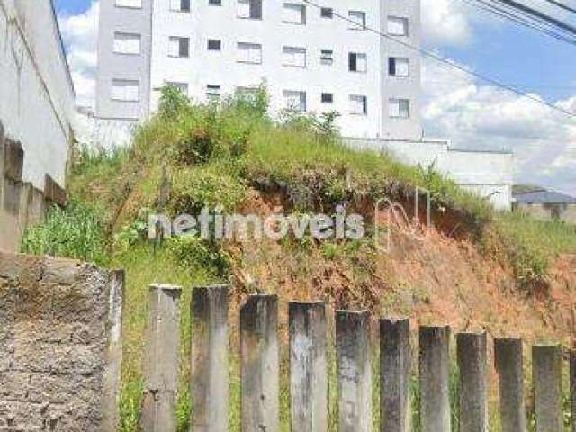 Venda Lote-Área-Terreno Fernão Dias Belo Horizonte