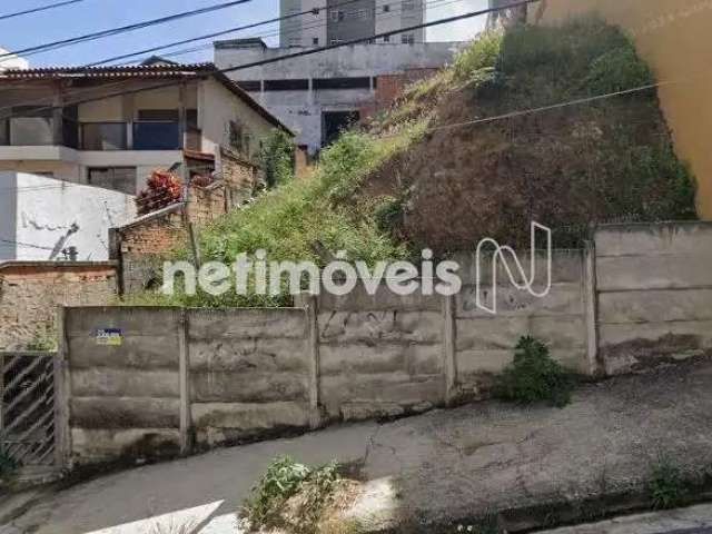 Venda Lote-Área-Terreno Fernão Dias Belo Horizonte