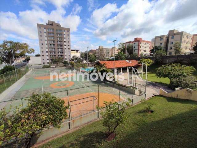 Venda Apartamento 3 quartos Jardim Guanabara Belo Horizonte