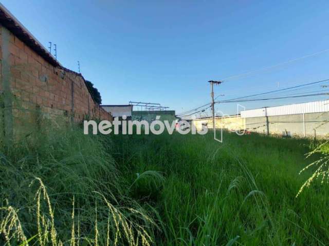 Venda Lote-Área-Terreno Jardim Montanhês Belo Horizonte