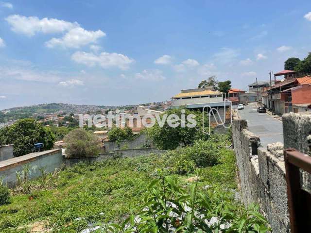 Venda Lote-Área-Terreno Xodó Marize Belo Horizonte