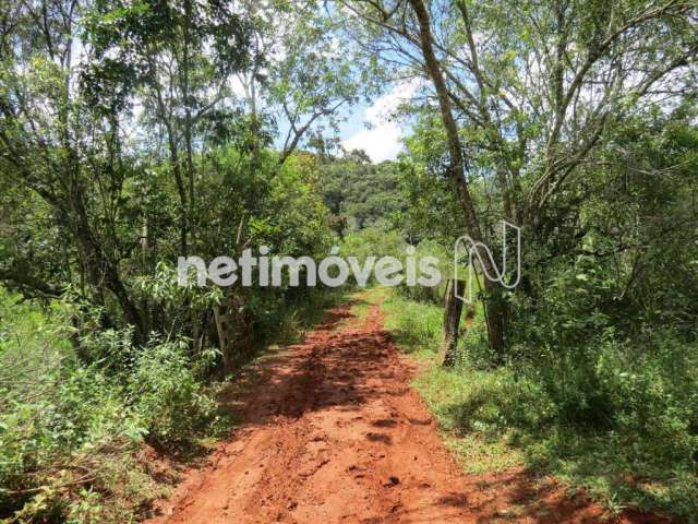 Venda Lote-Área-Terreno Fazenda da Cachoeira Prados