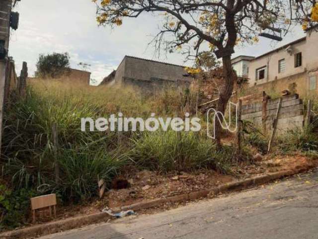 Venda Lote-Área-Terreno Maria Adélia Santa Luzia