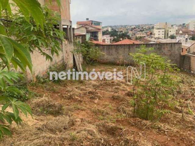 Venda Lote-Área-Terreno Pindorama Belo Horizonte