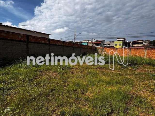 Venda Lote-Área-Terreno Três Barras Contagem