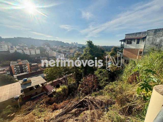 Venda Lote-Área-Terreno Alto Caiçaras Belo Horizonte