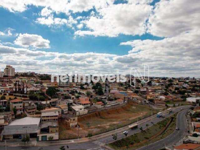 Venda Apartamento 2 quartos Santa Amélia Belo Horizonte