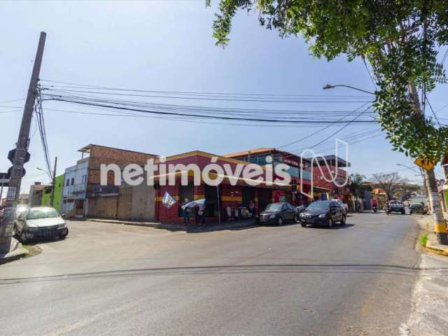 Venda Lote-Área-Terreno São Bernardo Belo Horizonte