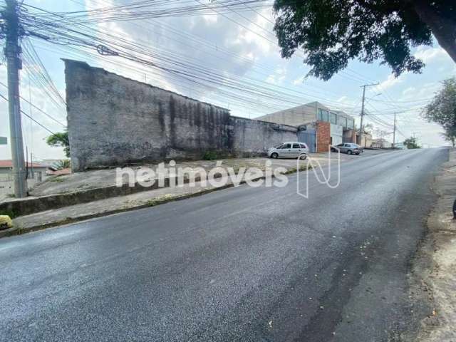 Venda Galpão Canadá Belo Horizonte