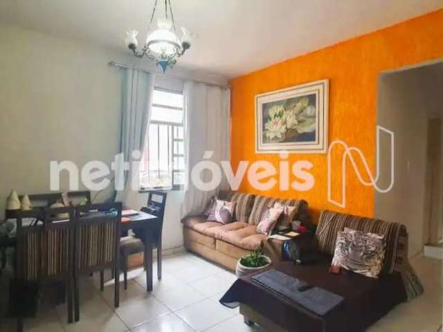 Venda Apartamento 3 quartos Nova Cachoeirinha Belo Horizonte