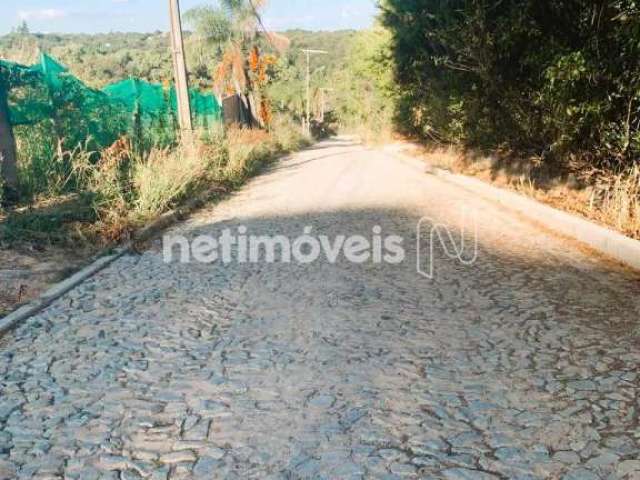 Venda Lote-Área-Terreno Vila Ipê Amarelo Contagem