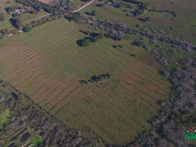 Sítio Bairro Itapuã