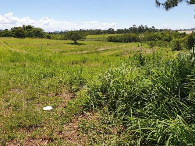 Terreno Bairro Lageado