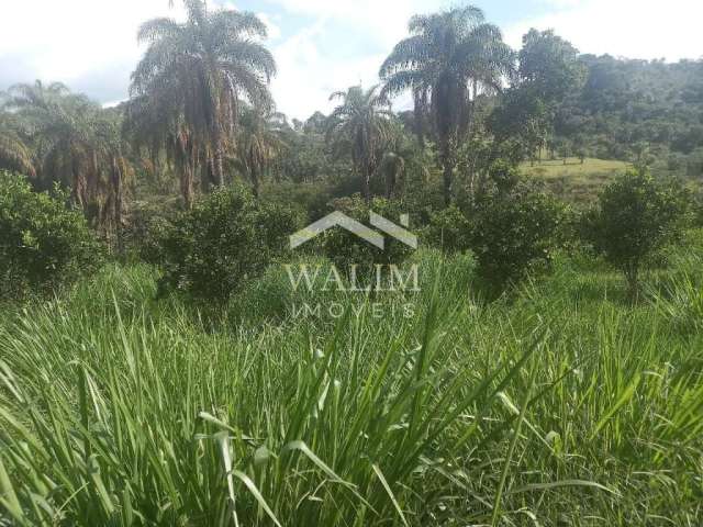 Magnífica Fazenda à venda 74 Hectares em Cláudio, MG, com Infraestrutura Completa e Potencial Produ