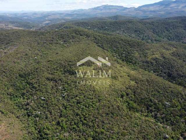 Linda Fazenda de 200 Hectares à Venda em Ouro Preto, MG - R$ 3.500.000,00