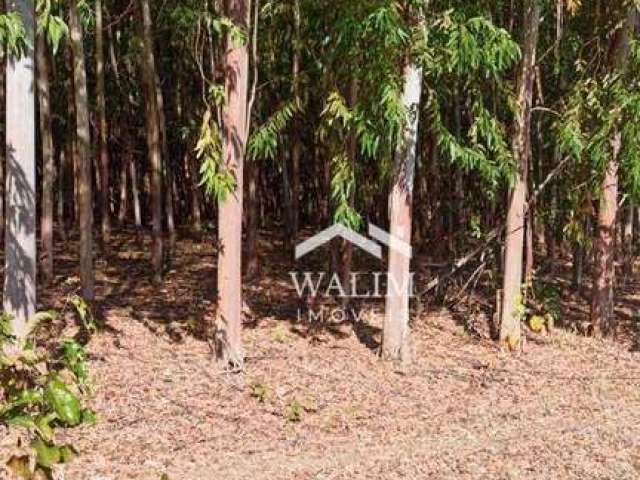 Fazenda à Venda - 1.550 Hectares em Baldim, MG