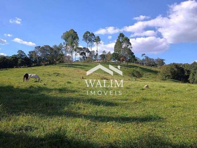 Fazenda à Venda na Zona Rural de Oliveira, MG - 34 Hectares : Uma Propriedade Completa para o Agronegócio!