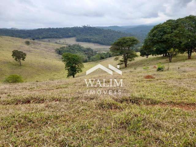 Terreno Rural em Itaverava, MG - 264 Hectares com Ótima Topografia