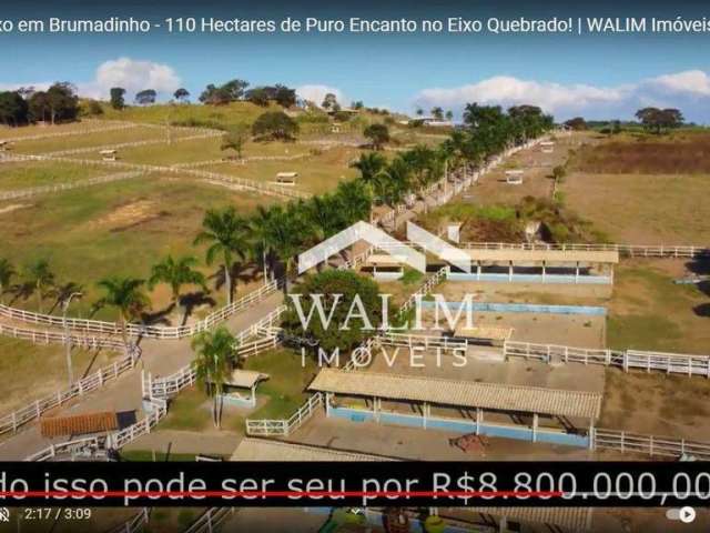 ?? Oportunidade Única: Fazenda Haras de 110 Hectares em Brumadinho, MG! ??