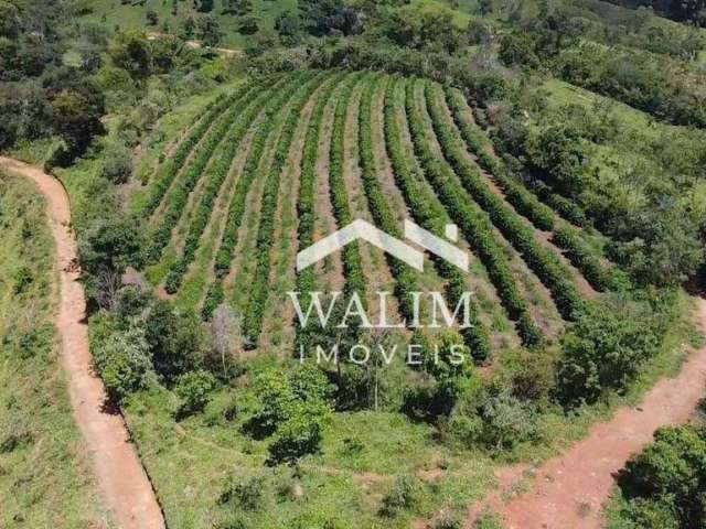 Fazenda Estância Senhor Raimundo,55 Hectares - Carmópolis de Minas, MG: Um Refúgio de Potencial e Natureza!