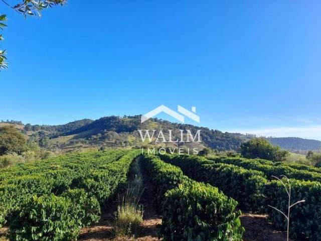 'Fazenda de 55 Hectares à Venda em Carmópolis de Minas: Oportunidade de Investimento no Polo Agrícola de Tomate em Minas Gerais'