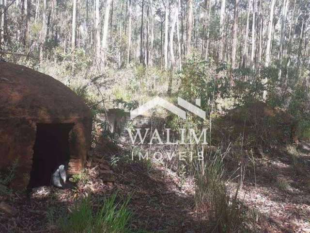 Terreno à venda - 33 Hectares - 15 hec eucaliptos - Zona Rural, Santana do Garambéu, MG