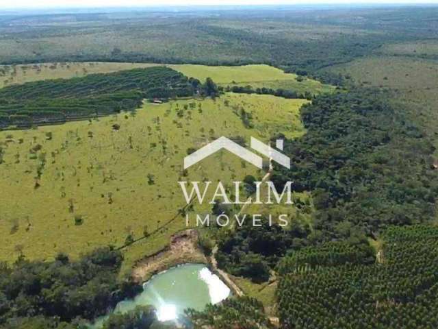 Oportunidade Imperdível! Fazenda de 350 Hectares em Felixlândia, MG – Preço Abaixo do Mercado!