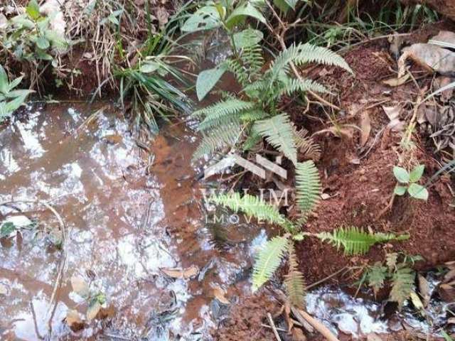 Fazenda de 39 Hectares – Terra de Cultura em São José da Varginha, MG