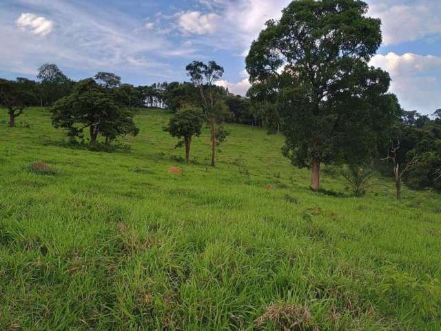 Terreno de 54 ha em Itaguara/MG – Área Preparada para Plantio, Pasto e Vegetação Nativa!