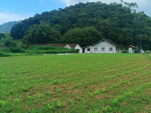 Chácara / sítio com 4 quartos à venda no Alto da Serra, Pomerode  por R$ 4.990.000