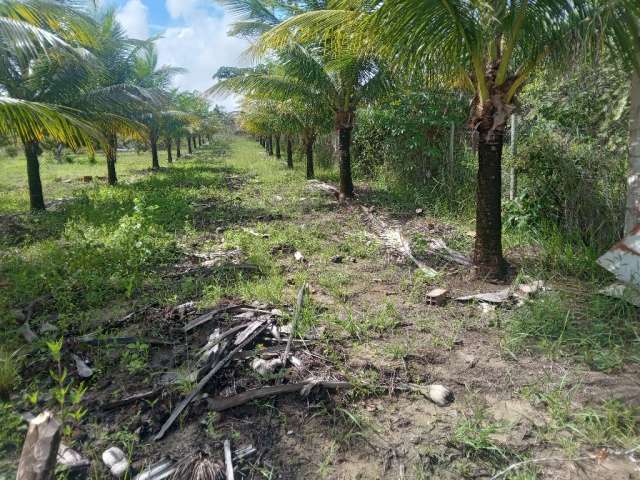 Terreno Estilo Sitio, vista total para cidade de Camaçari e praia do Litoral