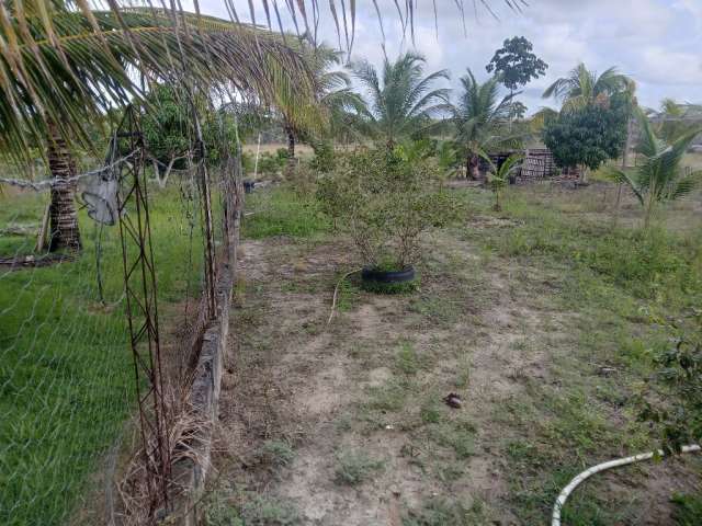 Ótimo Terreno estilo sitio, morar com a família na tranquilidade