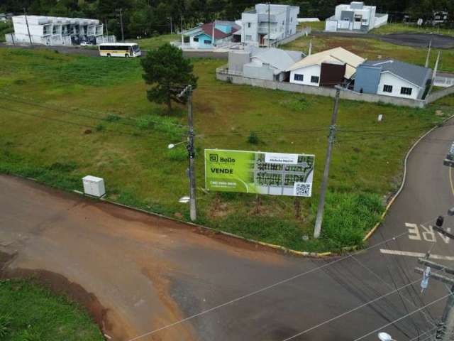 Terreno comercial para alugar na Daniel Lessing, 1, Municípios, Caçador