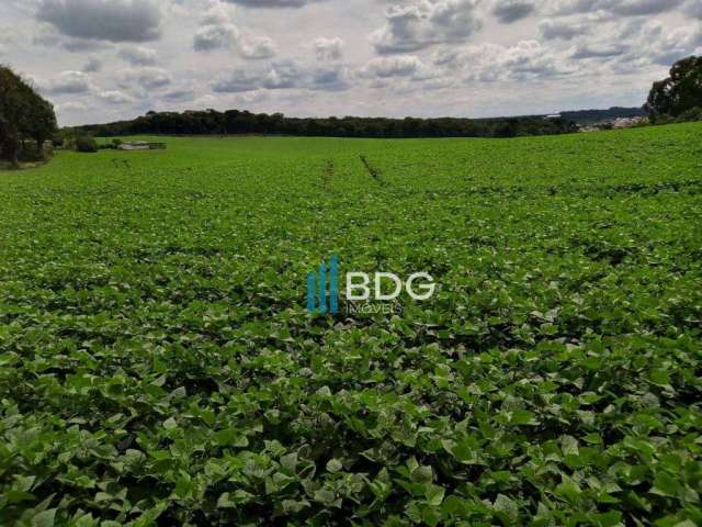 Excelente área para indústria em Fazenda Rio Grande