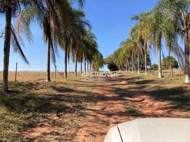 Fazenda com 3 dormitórios à venda, 210 m² por R$ 20.000.000,00 - 	área Rural de Itapetininga - Alambari/SP