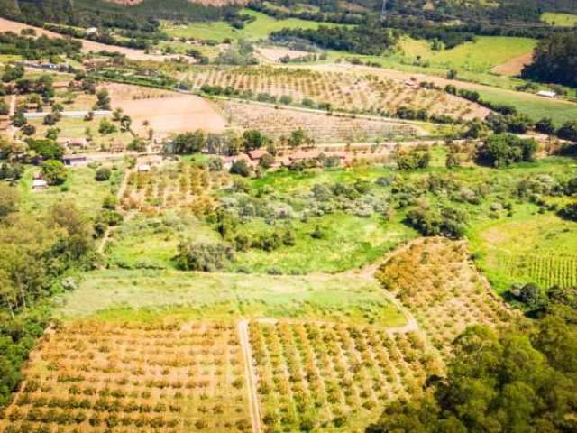 Chácara / sítio à venda na Estrada Leopoldino Bortolossi, Mombuca, Itatiba, 96600 m2 por R$ 3.800.000